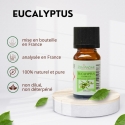 Huile essentielle - Eucalyptus - 10 ml