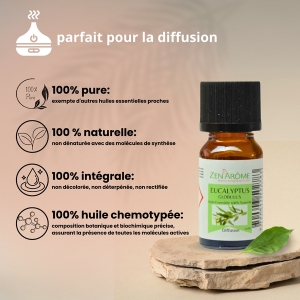 Huile essentielle - Eucalyptus - 10 ml