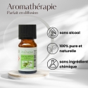 Huile essentielle - Eucalyptus - 10 ml